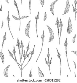 Vector hand drawn floral seamless pattern and backdrop. Elegant hand sketched blue vervain flower drawing. Vintage hipster herbal background. Natural organic cosmetics wrapping paper design.