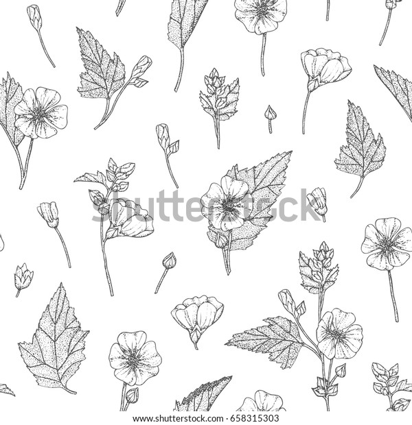 Vector hand drawn floral seamless pattern and\
backdrop. Elegant hand sketched marshmallow flower drawing. Vintage\
hipster herbal background. Natural organic cosmetics wrapping paper\
design.