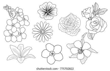 vector hand drawn floral set line art various flowers