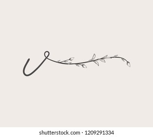 Vector Hand Drawn floral V monogram or logo. Lowercase Hand Lettering Letter v with Flowers and Branches. Wildflowers. Floral Design