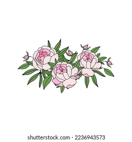 Vector hand drawn flower arrangement with peonies.