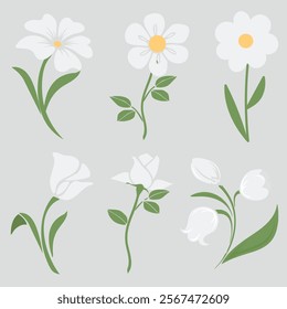 Vector hand drawn flower collection