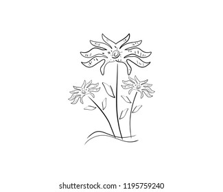 Vector of Hand Drawn Flower Doodles Ornamental