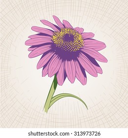 Vector hand drawn flower. Global color CMYK. 