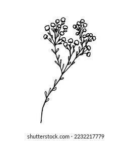 Vector hand drawn flower illustration doodle flower