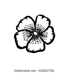  Vector hand drawn flower illustration doodle flower