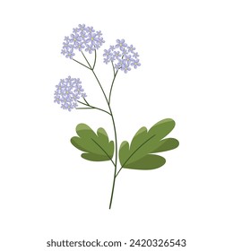 Vector hand drawn flower illustration on white.