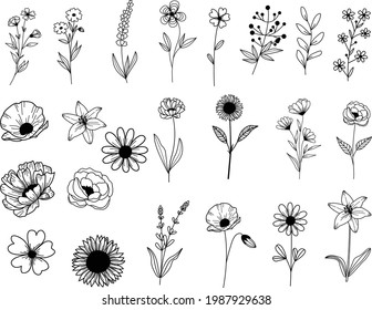 Vector Hand drawn flower and leaf elements, Vintage flowers doodle collection design, template, wedding card, greeting card, invitation, poster, postcard.