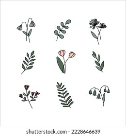 Vector Hand drawn flower and leaf elements, Vintage flowers doodle collection design, template, wedding card, invitation, greeting card, poster, postcard.