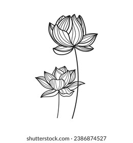 Vector hand drawn flower lotus leafs naturals isolated sticker black botanical line art illustration.