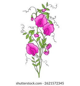Vector hand drawn flower on white background. Isolated element for design.