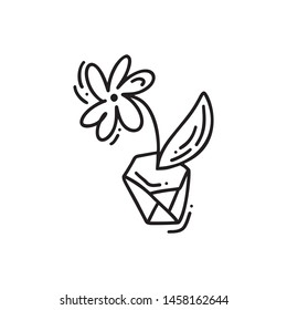 Vector hand drawn flower outline doodle icon. Decorative potted house plant sketch illustration for print, web, mobile and infographics isolated on white background