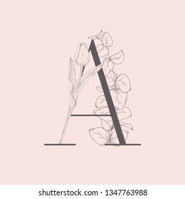 Vector Hand Drawn Flowered Initial A monogram or logo. Uppercase Letter with Tulip Flower and Eucalyptus Branch. Wildflowers. Floral Design. Brand Identity