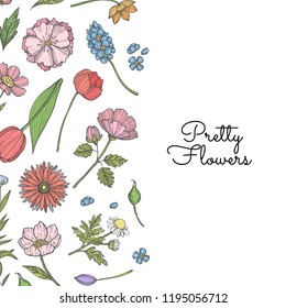 Vector hand drawn flowers background with place for text illustration