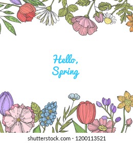 Vector hand drawn flowers background with place for text illustration