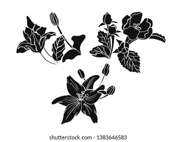 Vector hand drawn flowers in black. vector elements vfor your c needs- Vector file