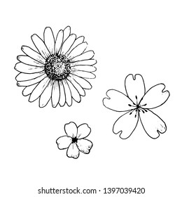 Vector hand drawn flowers. Black outline flowers.