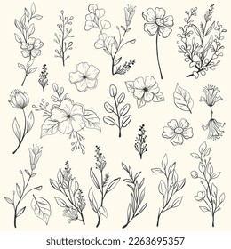 Vector hand drawn flowers collection