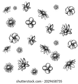 Vector hand drawn Flowers illustration pattern.