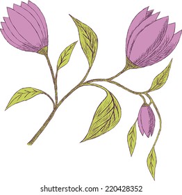 Vector Hand Drawn flowers. Vector illustration.