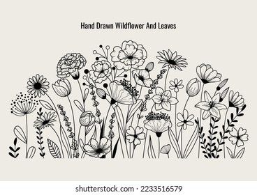 Vector Hand drawn flowers and leaf elements, Flower Meadow herbs, Vintage flowers doodle collection design, template, wedding card, greeting card, invitation, poster, postcard.