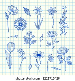 Vector hand drawn flowers set on blue cell sheet background illustration. Flower sketch isolated, decoration plant blossom