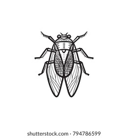 Vector hand drawn fly outline doodle icon. Fly sketch illustration for print, web, mobile and infographics isolated on white background.