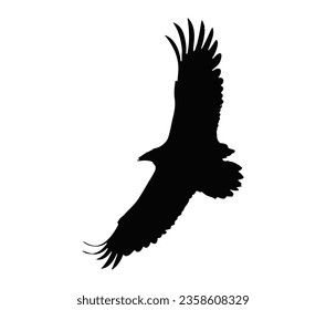 Vector hand drawn flying griffon vulture bird silhouette isolated on white background.