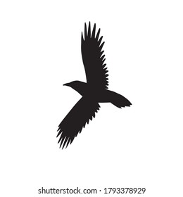 Vector hand drawn flying raven silhouette isolated on white background