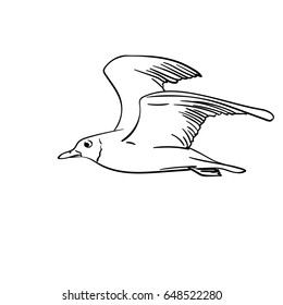 Vector Hand Drawn Flying Seagull, Line Art Illustration Isolated On White Background