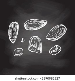 Comida dibujada a mano por vectores Ilustración. Esbozo detallado de almendras dibujadas a mano en estilo retro aislado en el fondo de la pizarra. Esbozo vintage para etiquetas, empaquetado y diseño de tarjetas. 