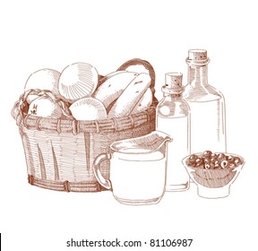 Vector Hand Drawn Food Ingredients