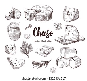 Vector hand drawn food sketch and kitchen doodle