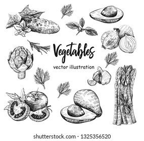 Vector hand drawn food sketch and kitchen doodle