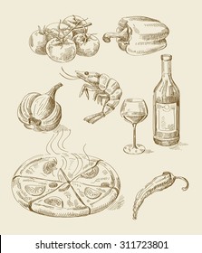 vector hand drawn food sketch and kitchen doodle