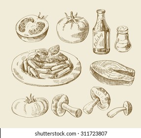 vector hand drawn food sketch and kitchen doodle