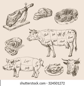 vector hand drawn food sketch and kitchen doodle