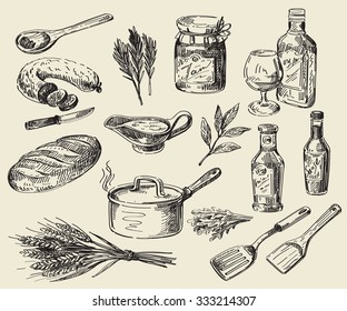 vector hand drawn food sketch and kitchen doodle