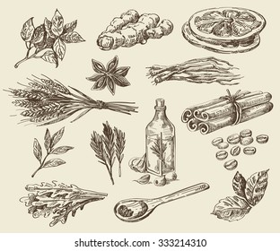 vector hand drawn food sketch and kitchen doodle