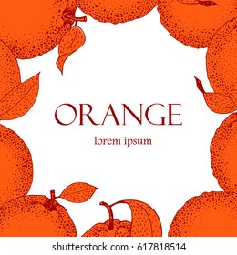 Vector hand drawn frame with oranges in sketch style. Vintage illustration