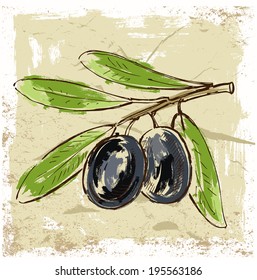vector hand drawn fresh olive on beige