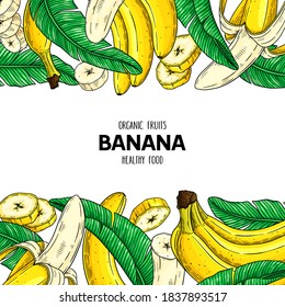 Vector hand drawn fruit frame with banana, slices pieces, bunch and leaves. Healthy organic illustration