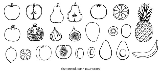 Vector hand drawn fruit icon set. Decorative retro style collection farm product restaurant menu, market label.