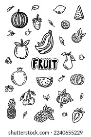 conjunto de doodados de boceto de fruto dibujado a mano por vectores