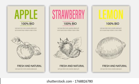 Vector hand drawn fruits of apple, strawberry and lemonposters. Vintage style healthy food concept for farmers market menu design