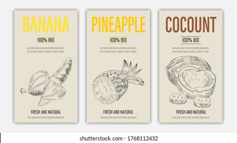 Vector hand drawn fruits of banana, pineapple and coconut posters. Vintage style healthy food concept for farmers market menu design