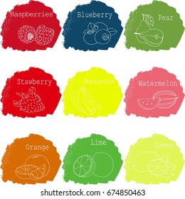 Vector hand drawn fruits collection