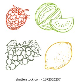 Conjunto de iconos de frutas dibujadas a mano por vectores. Colección decorativa