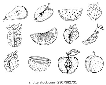 vector hand drawn fruits icons set