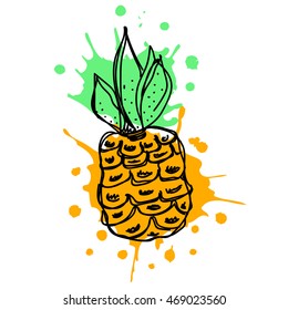 Vector hand drawn fruits illustration of pineapple with splash and drop, isolated on the white background. Line drawing, Series of Artistic, Ornamental vector Illustration.